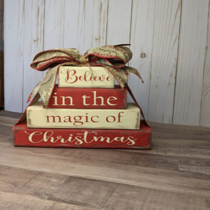 Believe in the Magic Shelf Sitter